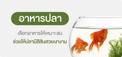 อาหารปลา